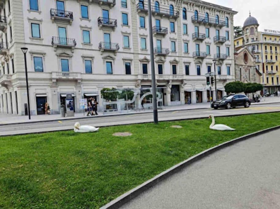 Urban Flat Lugano Exterior foto
